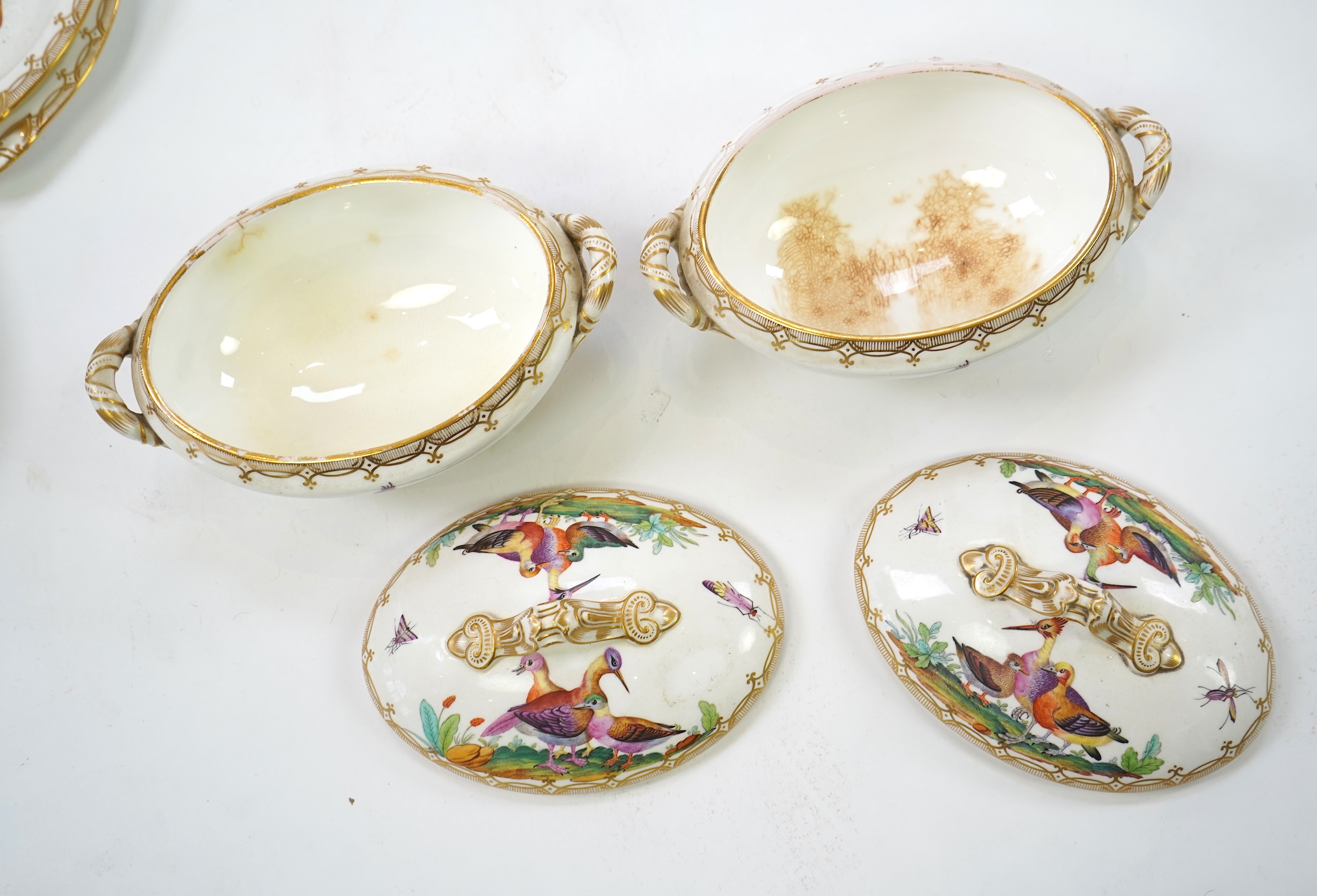 A Coalport bird painted part dinner service, mid 19th century